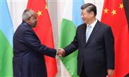 China ready to maintain close coordination with Djibouti to uphold common interests of developing countries: Xi