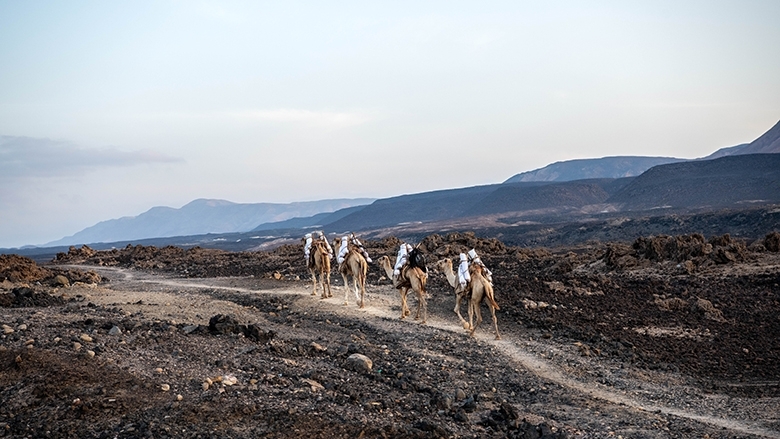 Djibouti: Climate Action Can Protect Growth and Build Resilience