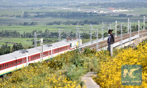 Chinese-built Ethiopia-Djibouti railway wins acclaim for driving Ethiopia's import-export needs